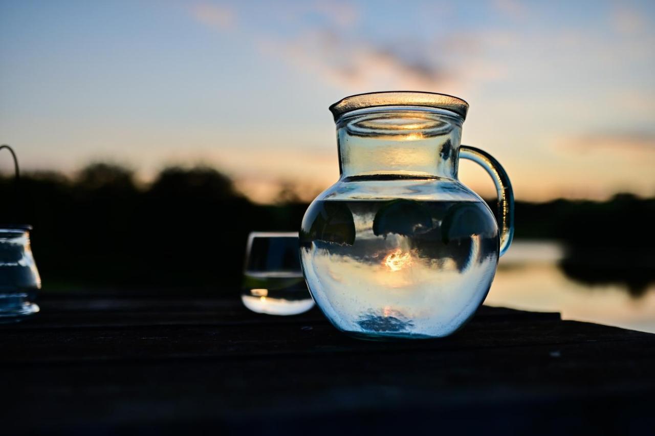 Cuddfan Lodge On A Gorgeous Private Lake ニューポート エクステリア 写真