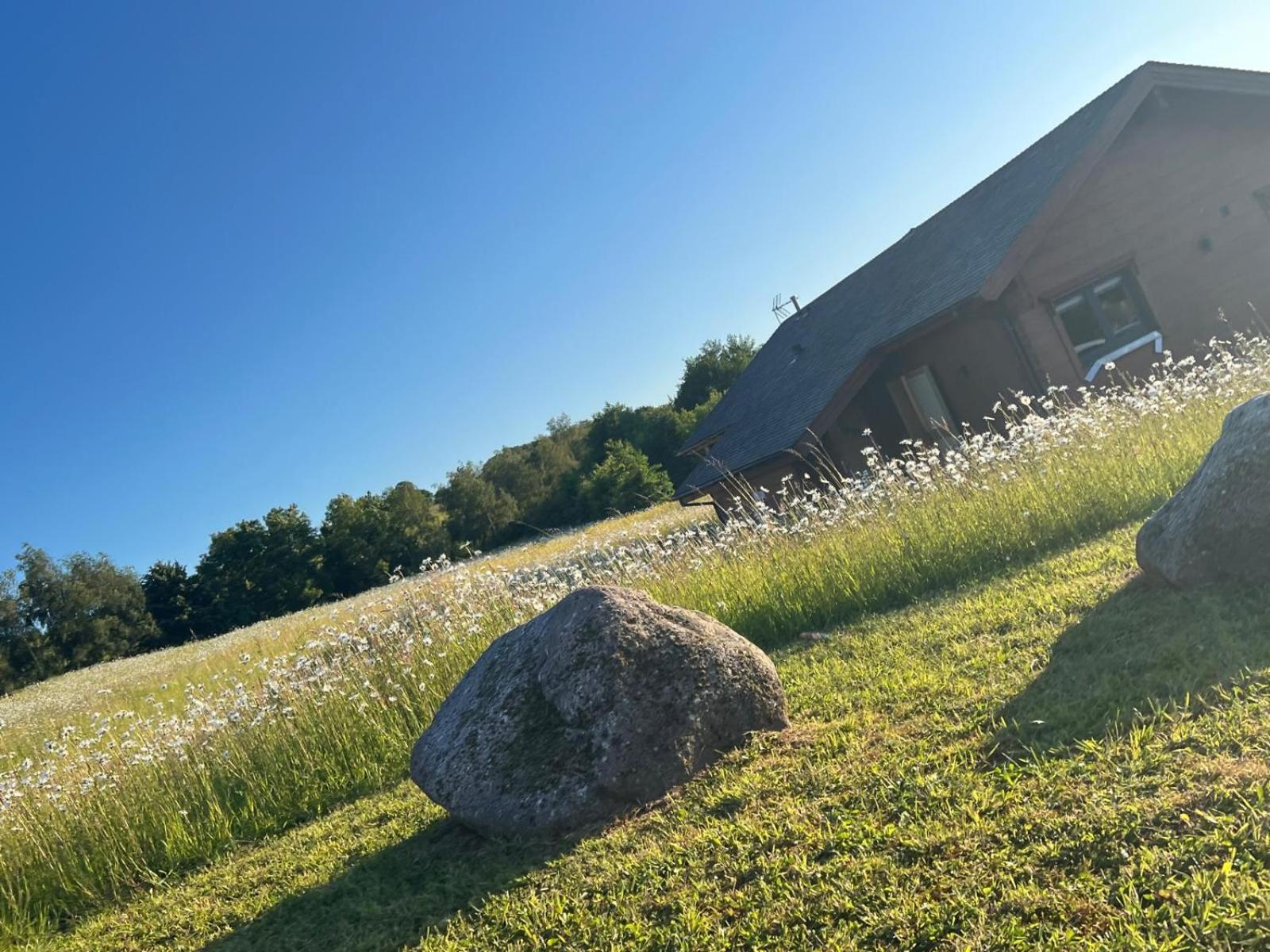 Cuddfan Lodge On A Gorgeous Private Lake ニューポート エクステリア 写真